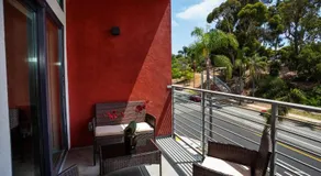 Steps to Balboa Park- Brand New Apt - Cozy Studio - Image 5