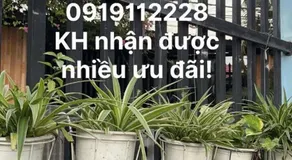 HÒANG HÔN HOMESTAY - Image 3
