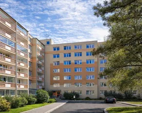 Smarty Choice Living with FREE PARKING - Vondroušova - Image 4