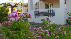 Olive House - Image 4