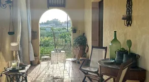 La finestra sul limone - Image 4