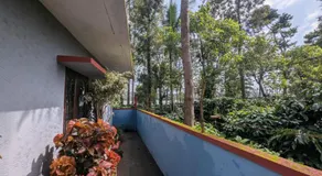 Elite Cottages - Image 4