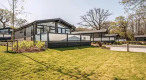 Cabane dans les arbres de Woodside Bay - Image 4