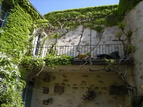 Ancien Cafe with courtyard - Image 3