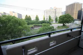 Precioso Umeda - Image 3