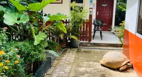 Garden Hut - Image 2
