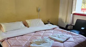 Varzea Palace Hotel - Image 2