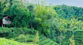 Hill wood nature touch resort - Image 4