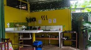 The Jungle Container - Image 5