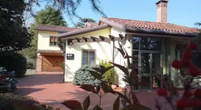 49 Le Contesse Ide - Image 2