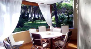 Asfodelo - Image 2
