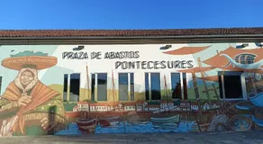Cesuresrooms1 - Image 5