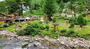 FeWo Amalia - Image 5