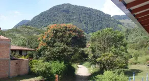 Hotel Internacional Jardín - Image 4