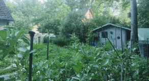 The Red House - Image 3