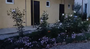 Twin House - Image 3