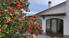 B&B Villa Magnolia  - Image 3