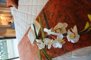 Vineland Cottage Free Wi-fi Big pool with walk in steps - Image 2