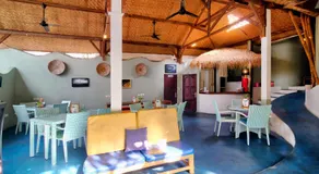 Bamboo Paradise - Image 5