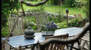 Vakantiewoning De Lotus - Image 3