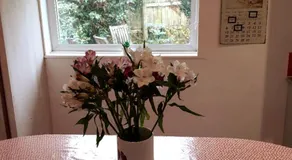 Entire house near beaches, footpaths, dog friendly - Image 4