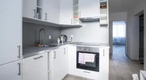 Haas Apartments - Image 3