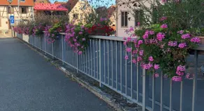 Chambre spacieuse dans joli village alsacien - Image 4