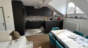 Duplex avec terrasse quartier européen - Image 2