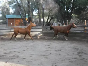 Red Tail Ranch - Image 4
