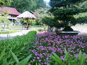 Cat Ba Eco Lodge - Image 3