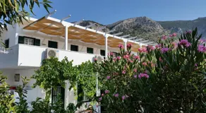 Oasis - Image 5