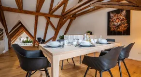 Spacious Apartment in Central Basel near Rhine - Special TOP LUX 42 Apartment, Basel, up to 6 guests - Image 4