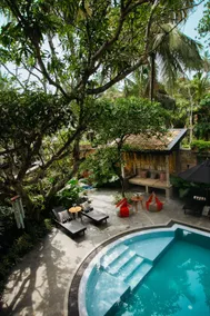 Olinda Galle - Image 3