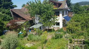Ferienwohnung Wendel - Image 4
