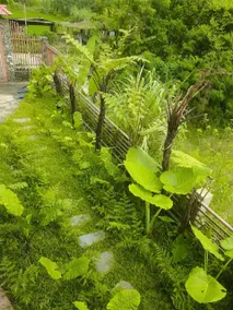 Ba Bể Hada Homestay - Image 3