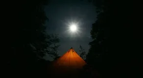 Bell Tent in the Wood - Image 5