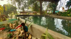 Pemsee's Tree Town- Serenity Village - Image 3