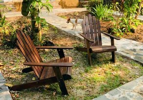Nam Cat Tien Retreat - Image 2