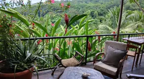 My Paradise - Image 3