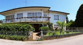 Le due magnolie - Image 2