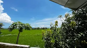 Alan's Homestay - Image 4