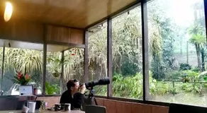 La Tigra Rainforest Lodge - Image 2