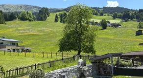 das brunn - Luxus Chalet - Image 5
