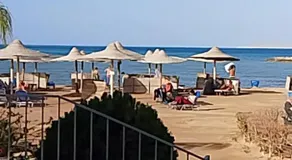 السلطانه وكفا Turtles Beach Resort - Hurghada - Image 3