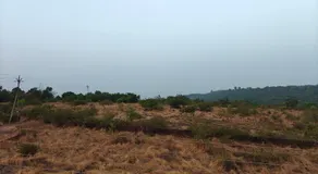 Parin Hotel And Resort - Image 4