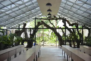 Sarga Earthing Resort - Image 5