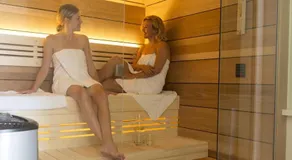De Brittenburg 4-persoons, finse sauna, hottub, sunshower, grote zonnige omheinde tuin, wifi en huisdier vriendelijk - Image 2