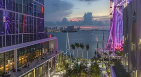 Bright and Airy Miami 1BR Apt Near Brickell - Image 3