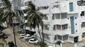Peace Nest - Image 3