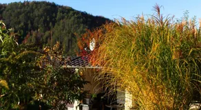 Casa Caius - Image 3